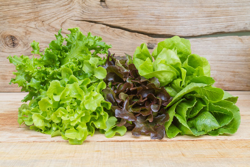 Hydroponic