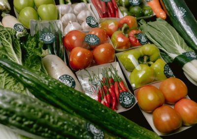 Ecoverde Farms
