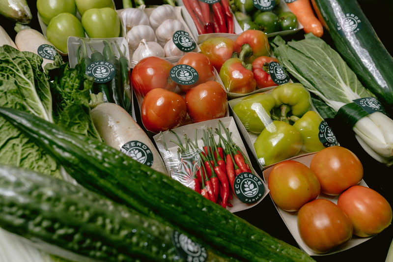 veges-img2